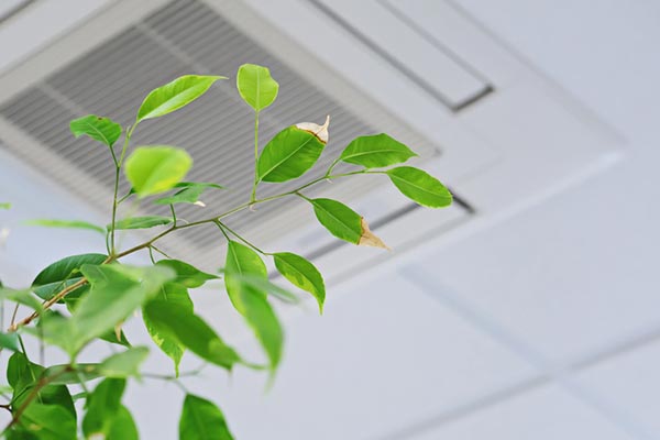 Indoor Air Quality Solutions Indoor Air Quality Solutions