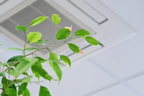 Indoor Air Quality Solutions